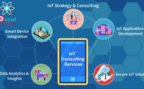 Custom IoT Application Development