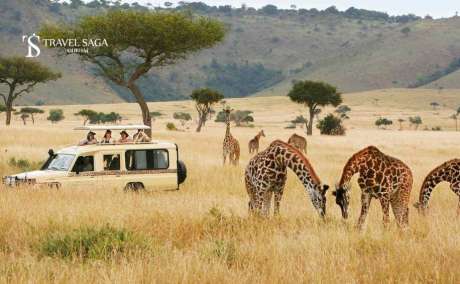 Experience the Magic of Africa with Our Kenya Tour Packages!