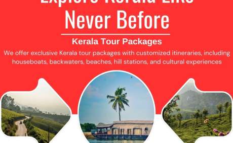 Explore Kerala with DHT Holidays! 🌴✨