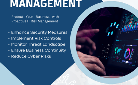 Optimize Security & Compliance with Tailored IT Risk Solutions