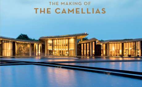 DLF THE CAMELLIAS