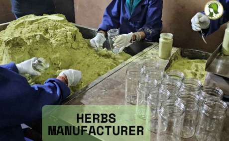 Kripal Export Overseas: Pioneers in Natural Hair Dye Manufacturing