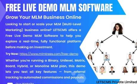 LETSCMS MLM Software and Website Development Services Provider