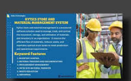 Software consulting service
