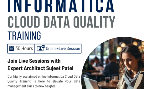 Informatica Cloud Data Quality (CDQ) Training | IT Training