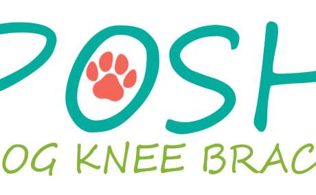 Posh Dog Knee Brace