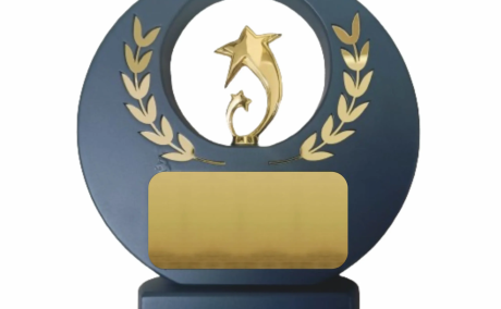 Gold Star Achievement Award