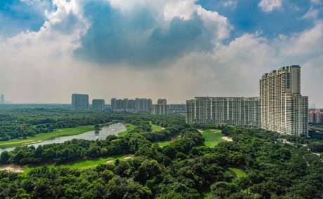 DLF THE CAMELLIAS