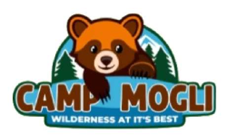 Camping In Kasol Himachal Pradesh