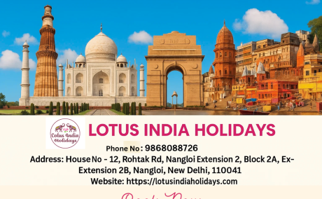 Travel Agency Near Me - Discover Lotus India Holidays for Hassle-Free Trips