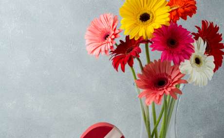 Online Gifts Delivery in Secunderabad