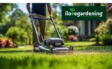 Lawn mowing services hoppers crossing near me cost - I love gardening