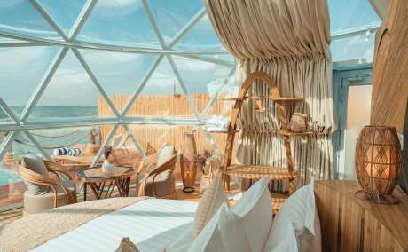 Top 10 Luxury Hotels in Dubai | Dubai Mangrove Resort Price