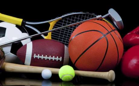 Stanza Sport is your ultimate destination for high-quality sports equipment