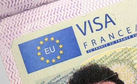 Almarai company work visa free jobs apply online