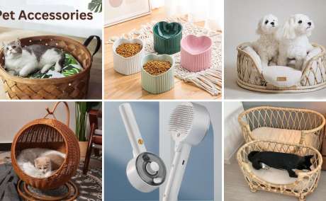 Pet Accessories
