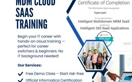 Informatica MDM Cloud SaaS Online Training - Live Business 360 & REST API Projects