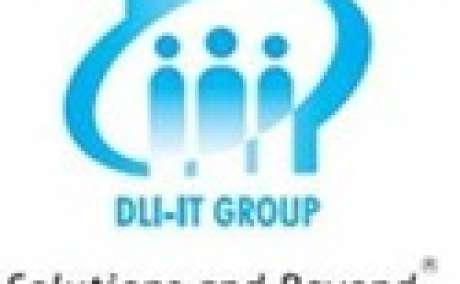 Dli-IT Group