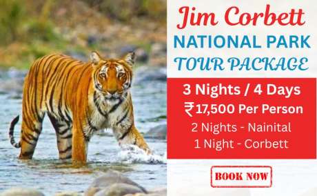 3 Nights 4 Days Nainital Jim Corbett Tour Package