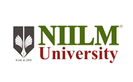 NIILM University - A Premier Civil Engineering College in Haryana Empowering Future Infrastructure Leaders