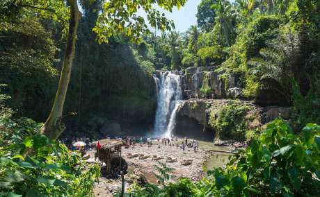 Bali Tour Packages 2025