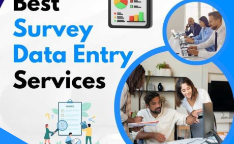 Best Survey & Questionnaire Data Entry Services in India