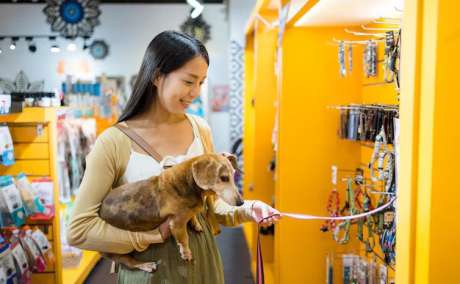 4 Amazing Reasons Why You Should Always Shop from a Reliable Pet Shop
