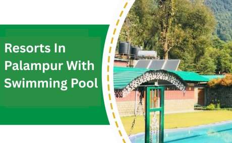 Best Resorts in Palampur with Swimming Pool