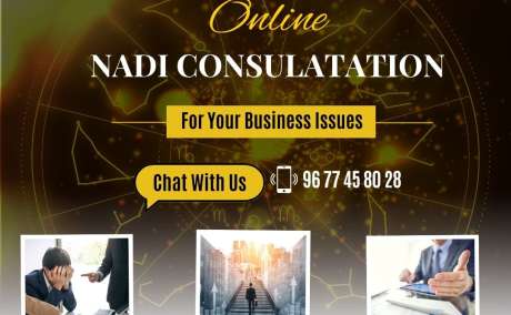 Online Nadi Consulatation for Your Business issues