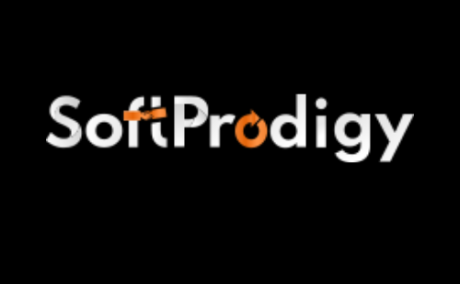 SoftProdigy System Solutions
