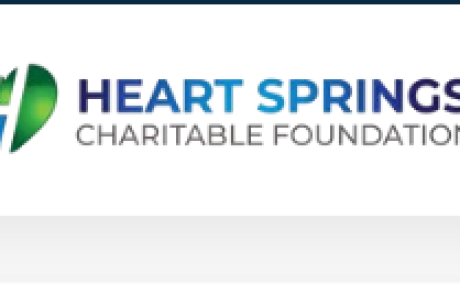 Heart Springs Foundation - Trusted Rehabilitation Centre in North Delhi