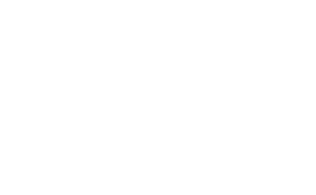BIM Modeling