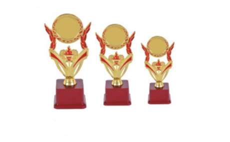 Customized Trophy Manufacturer, Corporate Pocket Bose, School, College Trophy, Awards & Medals, Momento, Corporate Wooden Gift Articles In Ahmedabad, Gujarat