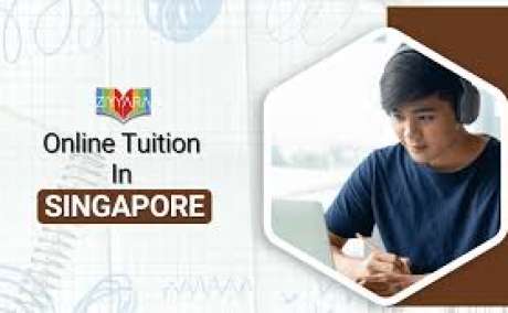 Private Classes in Singapore - Ziyyara’s Personalized Online Learning for Every Student