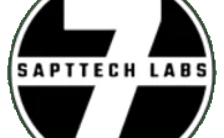 Best Digital Marketing Agency in India | Sapttech Labs - ROI Driven Solutions