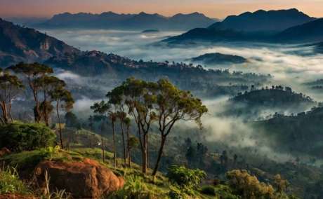 Kodaikanal Tour Packages From Chennai