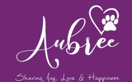 Purebred Shih Tzu Puppies for Sale in Bangalore - Healthy, Playful & Home-Raised | Aubree.co.in