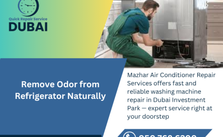 Remove Odor from Refrigerator Naturally