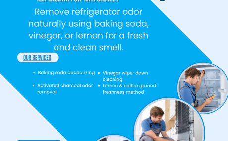 Remove Odor from Refrigerator Naturally