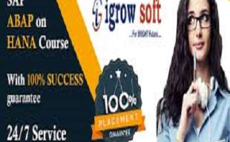 SAP ABAP on HANA | SAP S4 HANA Online Training in Ameerpet | Igrowsoft