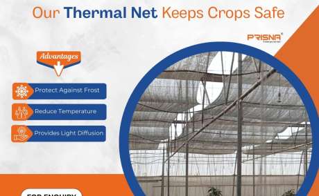 Thermal Shade Net for Agriculture - Frost Guard & Light Diffusion Net