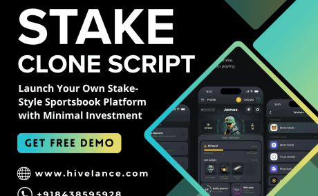 Ready-Made Stake Clone Script - 100% Customizable & Secure