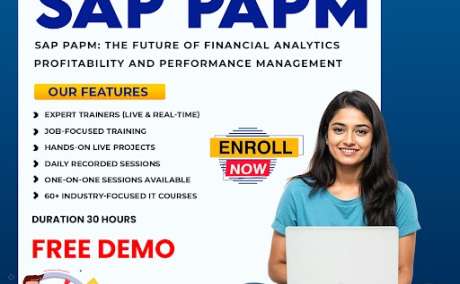 The Best SAP PaPM Online Training Hyderabad - 2025