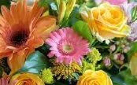 Teddy Bear Dubai — Send Love with Plush Bears & Elegant Flowers 🎁