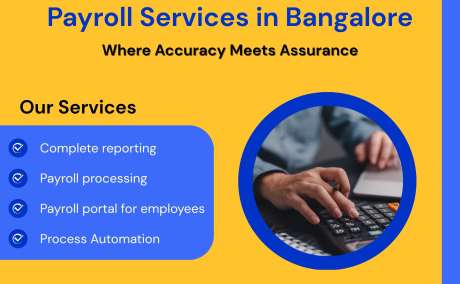 Payroll Solutions for Growing Teams