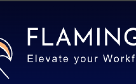 HRMS Software India - flamingohcm.com