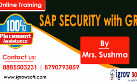 SAP GRC Online Training in Hyderabad | Igrowsoft