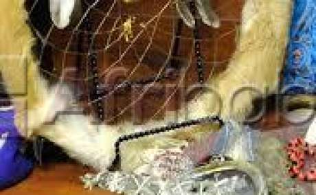 Best Court case spells to win any legal matter and stay out of jail.