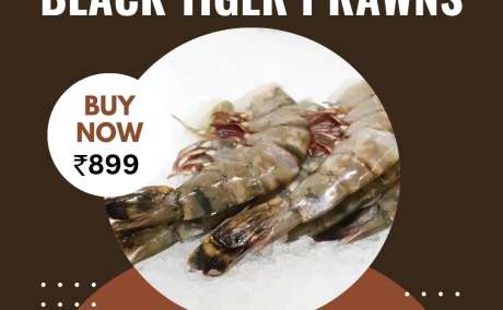 Buy Black Tiger Prawns Online - Queins