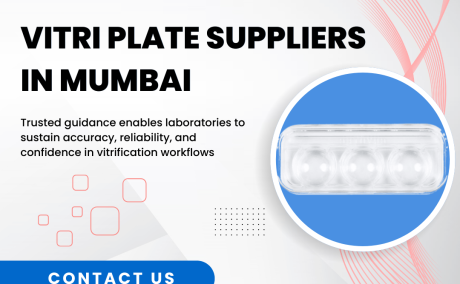 Vitri Plate Suppliers in Mumbai